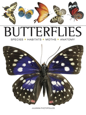 Butterflies Paperback Amber Books