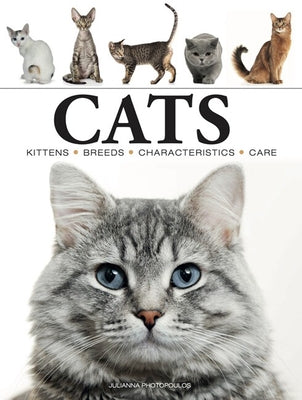 Cats Paperback Amber Books