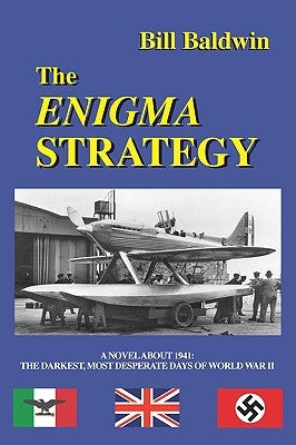 The Enigma Strategy Paperback Booklocker.com