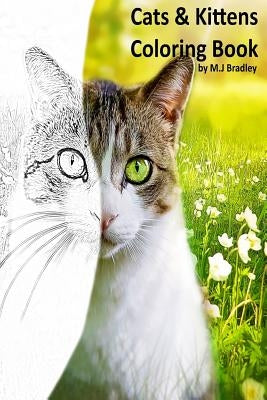 Cats & Kittens: Coloring Book Paperback Createspace Independent Publishing Platform