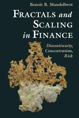 Fractals and Scaling in Finance: Discontinuity, Concentration, Risk. Selecta Volume E Paperback Springer