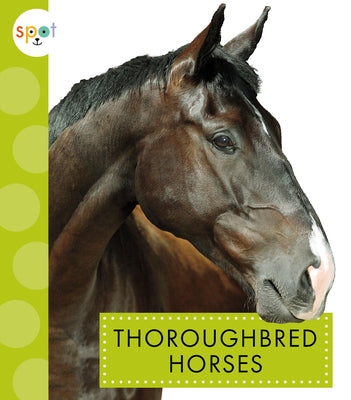 Thoroughbred Horses Paperback Amicus Ink