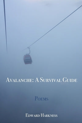 Avalanche: A Survival Guide Paperback Blue Cedar Press