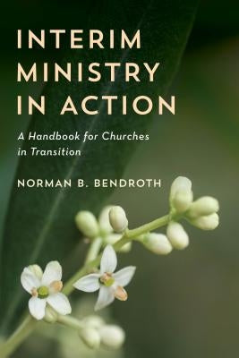 Interim Ministry in Action: A Handbook for Churches in Transition Paperback Rowman & Littlefield Publishers