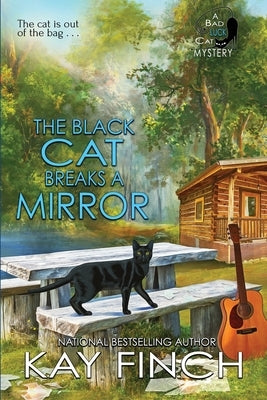 The Black Cat Breaks a Mirror Paperback Beyond the Page Publishing