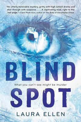 Blind Spot Paperback Clarion Books