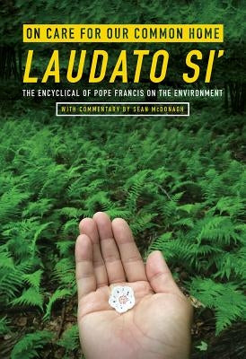 Book cover of "On Care for Our Common Home" by Laudato Si' with commentary by Sean McDonagh, published by Orbis Books.