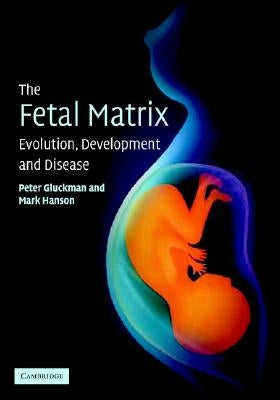 The Fetal Matrix: Evolution, Development and Disease Paperback Cambridge University Press
