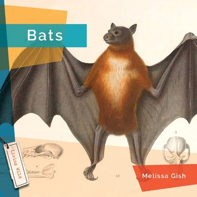 Bats by Gish, Melissa