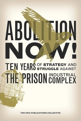Abolition Now!: Ten Years of Strategy and Struggle Against the Prison Industrial Complex Paperback AK Press