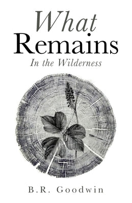 What Remains: In the Wilderness WestBow Press