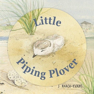 Little Piping Plover Paperback Pickerel Publishing