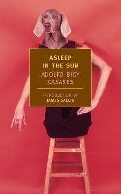 Asleep in the Sun Paperback New York Review of Books