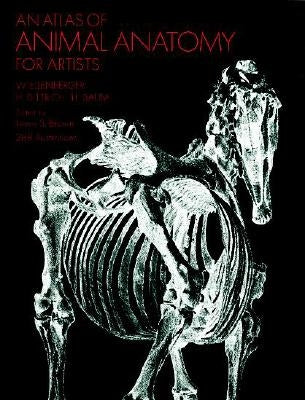 Paperback Atlas of Animal Anatomy for Artists by Dover Publications, showing detailed anatomical illustrations of various animals.