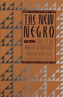 The New Negro Touchstone Books