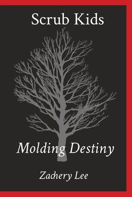Scrub Kids: Molding Destiny Paperback Zachery Lee