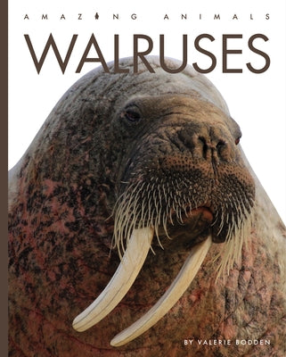 Walruses Paperback Creative Paperbacks