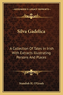Silva Gadelica: A Collection of Tales in Irish with Extracts Illustrating Persons and Places Paperback Kessinger Publishing