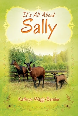 It's All About Sally Paperback Outskirts Press