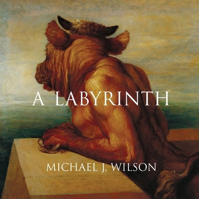 A Labyrinth Paperback Stalking Horse Press
