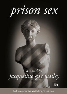 Prison Sex Paperback IML Publications LLC