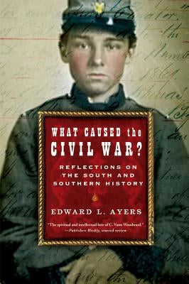 What Caused the Civil War?: Reflections on the South and Southern History Paperback W. W. Norton & Company