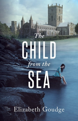 Child from the Sea book cover by Hendrickson Publishers, featuring an artistic illustration of a child near the ocean.