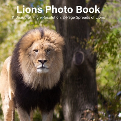Lions Photo Book: 14 Beautiful, High-Resolution, 2-Page Spreads of Lions Paperback Independently Published