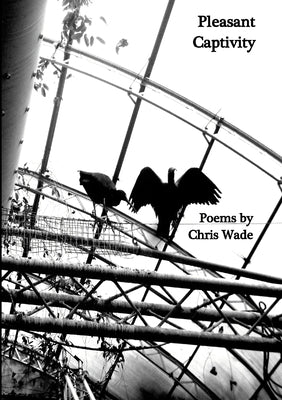 Pleasant Captivity Paperback Lulu.com