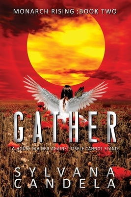 Gather: A House Divided Against Itself Cannot Stand Paperback Peaceful World Publishing