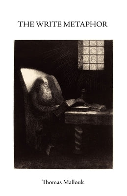 The Write Metaphor Paperback Independently Published