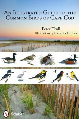 An Illustrated Guide to the Common Birds of Cape Cod Paperback Schiffer Publishing