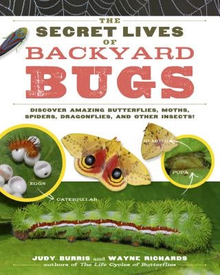 The Secret Lives of Backyard Bugs: Discover Amazing Butterflies, Moths, Spiders, Dragonflies, and Other Insects! Paperback Storey Publishing