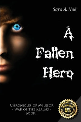 A Fallen Hero Paperback Sara A. Noe