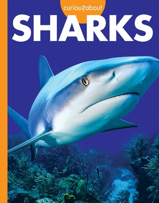 Curious about Sharks Paperback Amicus