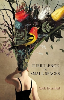 Turbulence in Small Spaces Paperback Finishing Line Press