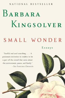 Paperback copy of Small Wonder: Essays by Harper Perennial, showing the book cover with title and author.