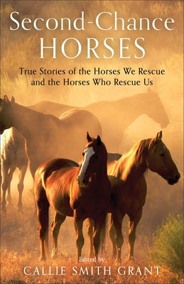 Second-Chance Horses: True Stories of the Horses We Rescue and the Horses Who Rescue Us Paperback Fleming H. Revell Company