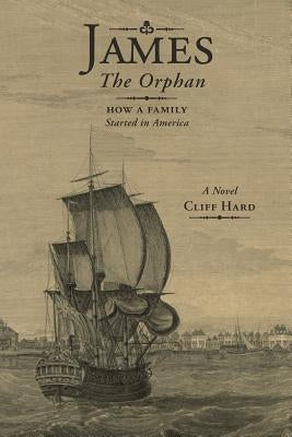 James the Orphan: How a Family Started in America (A Novel) Paperback MindStir Media