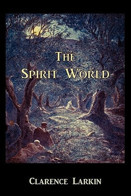 The Spirit World Paperback Martino Fine Books