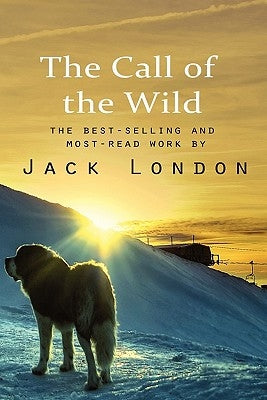 The Call of the Wild Paperback Lits