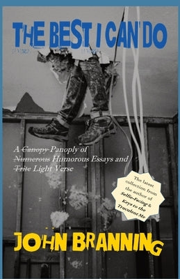 The Best I Can Do Paperback Pusillanimous Books