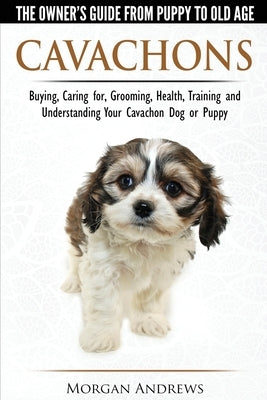 Cavachons - The Owner's Guide from Puppy to Old Age - Choosing, Caring for, Grooming, Health, Training and Understanding Your Cavachon Dog or Puppy Paperback Breed Experts