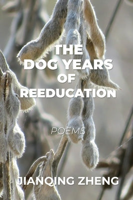 The Dog Years of Reeducation: Poems Paperback Madville Publishing LLC