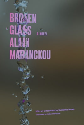 Broken Glass Paperback Soft Skull Press