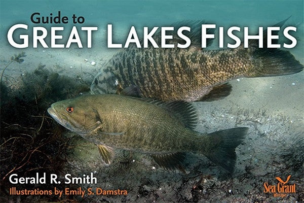 Guide to Great Lakes Fishes Paperback University of Michigan Regional