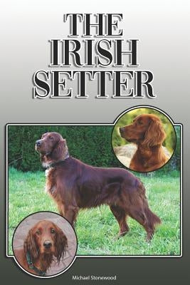 The Irish Setter: A Complete and Comprehensive Owners Guide To: Buying, Owning, Health, Grooming, Training, Obedience, Understanding and Paperback Independently Published