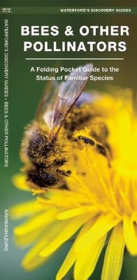 Bees & Other Pollinators: A Folding Pocket Guide to Familiar Species by Kavanagh, James