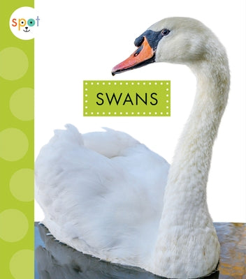 Swans Paperback Amicus