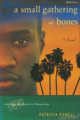 A Small Gathering of Bones by Powell, Patricia